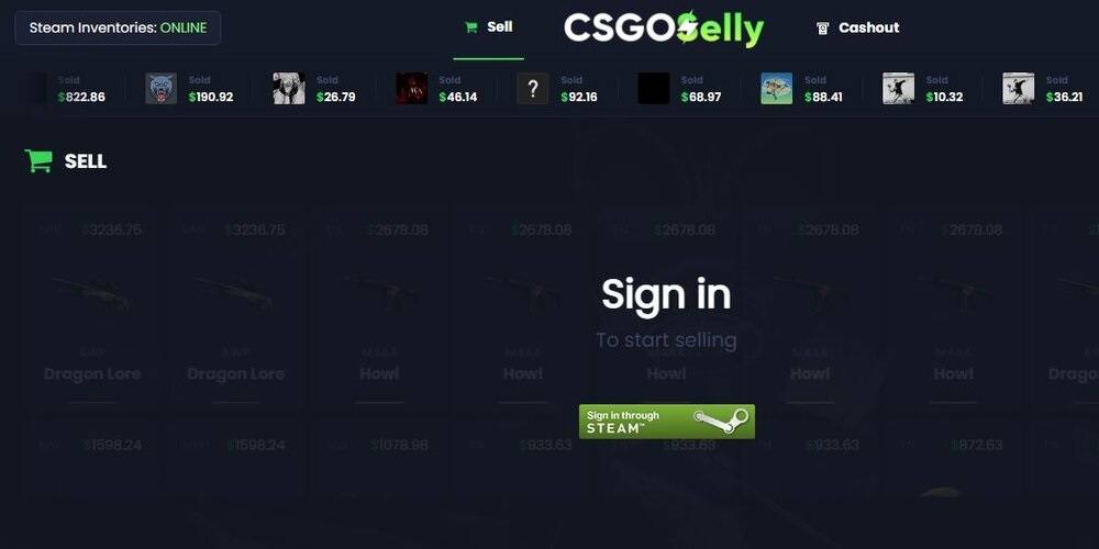 CSGOSelly Review