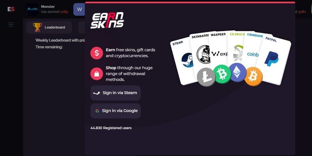 EarnSkins Review