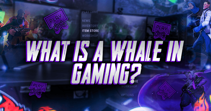 What Is a Whale In Gaming?