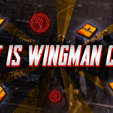 What is Wingman CSGO?