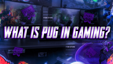 What Is PUG In Gaming?