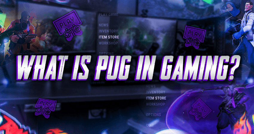What Is PUG In Gaming?