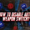 How to Disable Auto Weapon Switch?